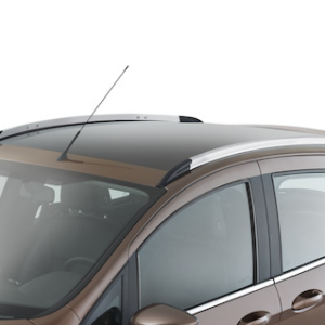 Strešni nosilci srebrno/črni